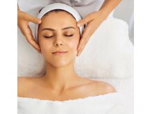 ローリエ/『効果効能』