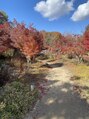 アイプラス ニコ(eye+ nico)&nbsp;紅葉とても綺麗でした！