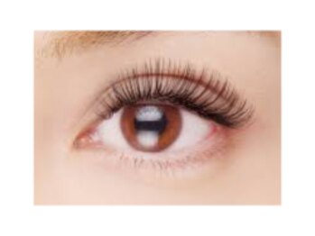 アーベン アイラッシュ(AERBEN..Eyelash)/ボリュームラッシュ