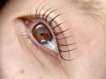 メロウリリィ(mellow lily)/