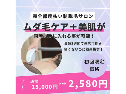 モルト(MOLT)の写真