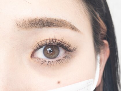 ラスター(LUSTER)の写真