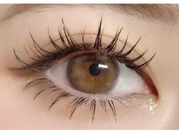 ハワイアイラッシュ 船橋北口店(Hawaii Eyelash)/ボリュームラッシュワンホン