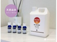 カトレア(CATTLEYA)