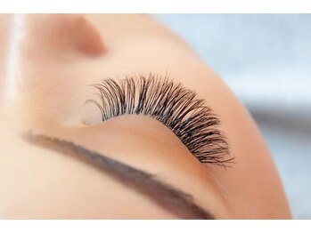 ヘップ(nail eyelashdesign Hep)/3D / 5D 120束