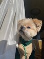 アイフェリス フェリス(I feliz×feliz) うちの14歳になるおじいちゃん犬、まだまだ元気です！