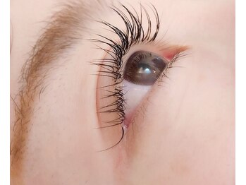 ロコ(Loco by neolive)/アップラッシュ 100本