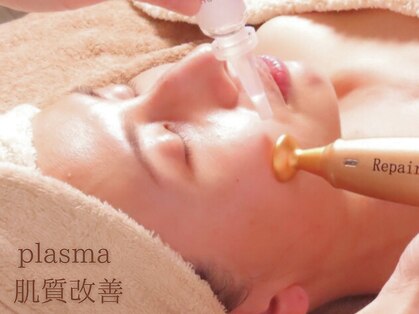 アン(An)の写真