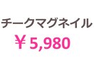 チークマグネイル