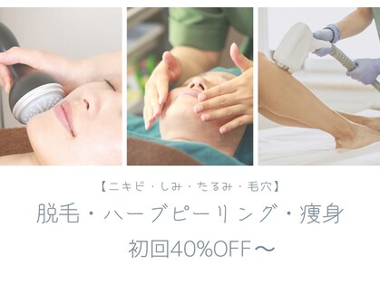 シエル(Ciel)の写真