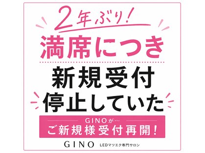ジーノ(GINO)の写真