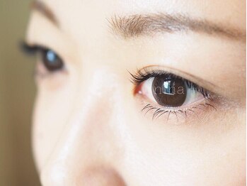 ニーナ(nina)/上下マツエク[弘前]