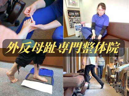 レメディの写真