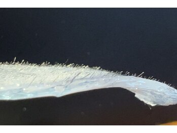 ホワイトワックス 京都四条烏丸(WHITE WAX)/《全顔》フェイシャルワックス