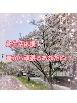 鍼灸院ネクストステップ(鍼灸院NextStep)の写真/《新生活応援◎》春から頑張るあなたに。体が重い、しんどいと感じたら鶴見町の鍼灸院NextStepへ♪