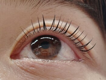 セレンディピティ(Serendipity)/まつ毛パーマ