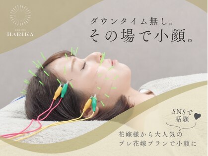 ハリカ 東京新宿店(HARIKA)の写真