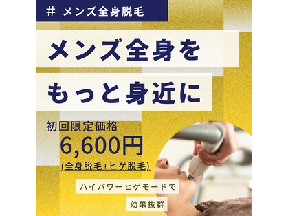 モルト(MOLT)の写真