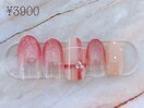 定額3900円