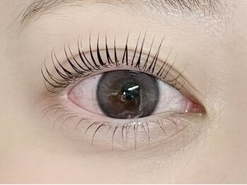 ローラン(LORAN)/上下パーマ