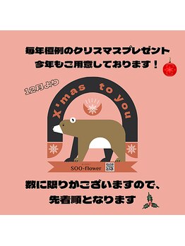 スーフラワー(SOO-flower)/今年も！