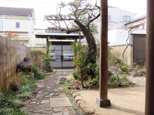 フェリックス(Felix)/お庭