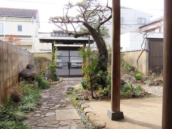 フェリックス(Felix)/お庭