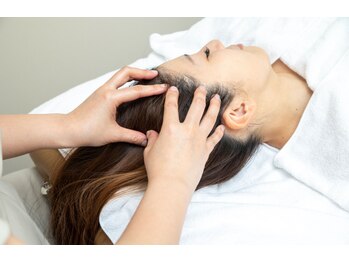 ロジワール(LOISIR)/極上ドライヘッド