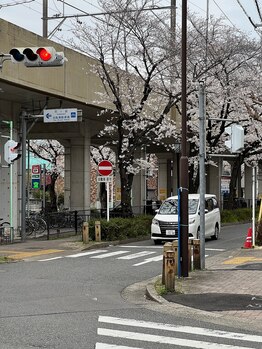 フォレスト治療室/コインパ多数