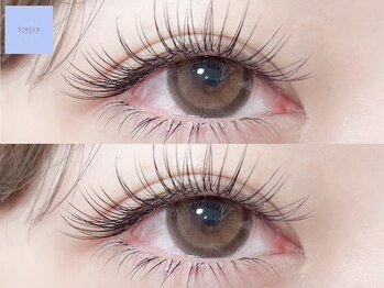 ステラ(Stella)/フラットラッシュ上下