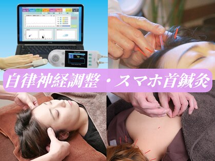 レメディの写真