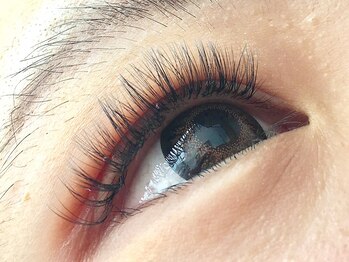 メイクスペース ミキ(MAKE SPACE MIKI)/3Dボリュームラッシュ (Dカール)