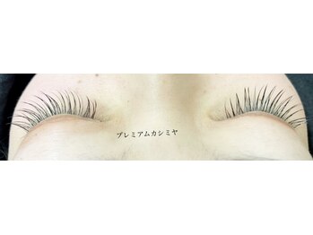 シルフ 石橋店(Sylph)/プレミアムカシミヤ