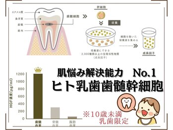 リンフェイス 浦安店(RINFACE)/最近よく聞く乳歯幹細胞って！？