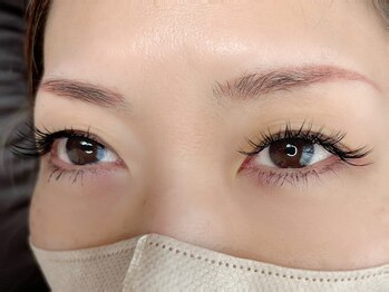 ネイルアンドアイラッシュ シヴァ(Siva)/バインドロック　120束