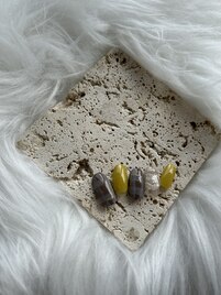 11月定額コース