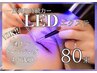 【話題のLED新導入◎】LEDバインドロック80束~モチUP&濃さUP~