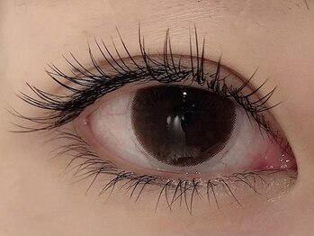 カラン 焼津店(CALIN)/フラットラッシュ100本