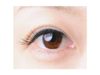 アーベン アイラッシュ(AERBEN..Eyelash)/特殊Ｌカール