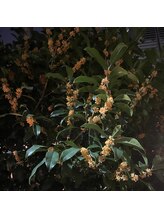 ルポ(Repos.)&nbsp;RIKA 