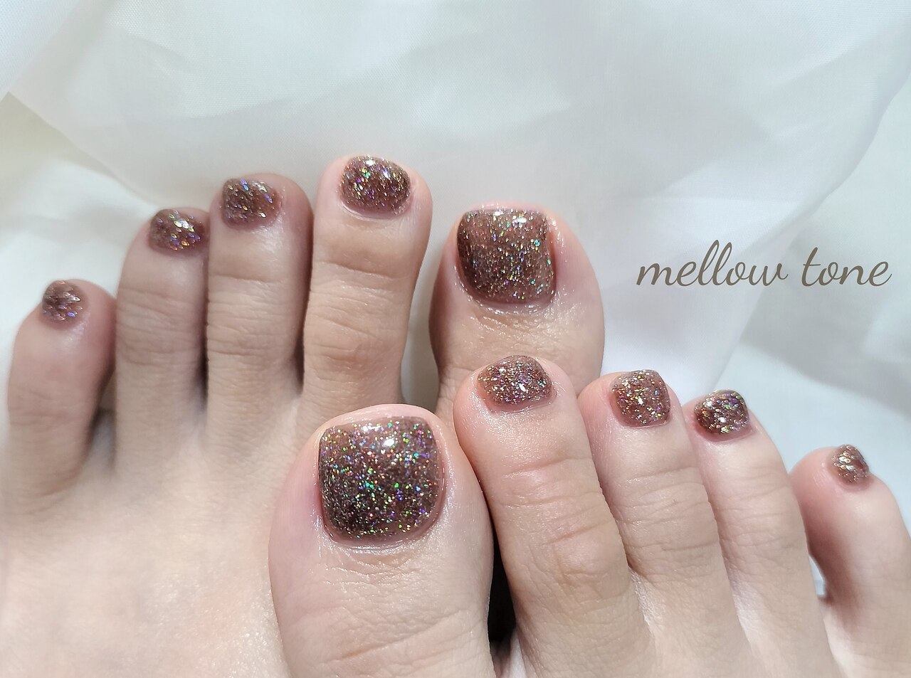 No.335 ネイルチップ グレー シェル オーロラ キラキラ マグネット