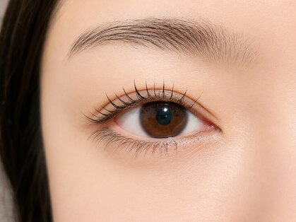 トトルナ(totoluna)の写真
