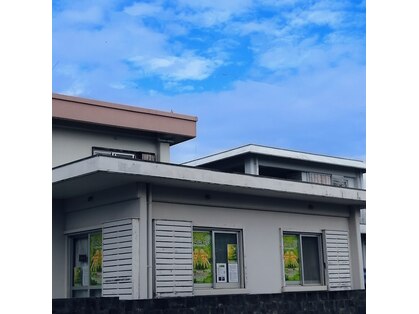 セイ(Sei)の写真