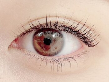 ビューティメイク(BEAUTY MAKE)の写真/【新規限定★バービーカール＋TR（上まつげパーマ）¥4000】自まつげを活かした凄腕技術をご堪能ください♪