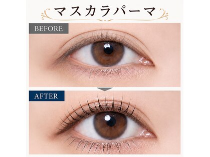 アイビー 稲田堤店(IVY)の写真