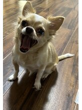 ホタル(hotaru) さくら