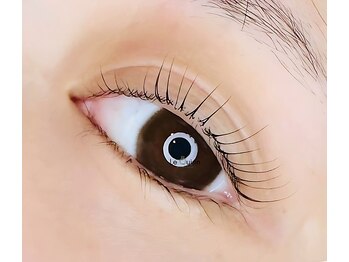 ルクイン 恵比寿 白金(Le Quinn)/立ち上げカール[まつげパーマ]