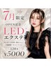 【オープン記念】【LEDマツエク】30分施術メニュー 束感FLATLASH 120本￥5000