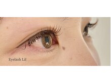 アイラッシュ リフ(Lif)/ブラウンカラーmix