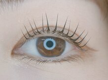 セレンディピティ(Serendipity)/まつ毛パーマ